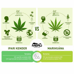 CBD Kannabisz Krém - Hammer Nutrition CEE