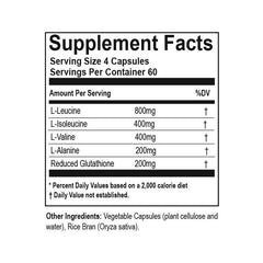 Endurance BCAA+ - Hammer Nutrition CEE