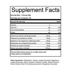 Endurolytes Extreme Powder - Hammer Nutrition CEE