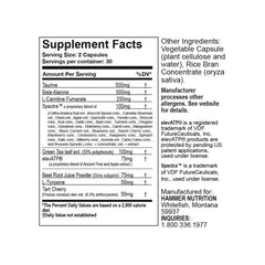 Fully Charged - Hammer Nutrition CEE