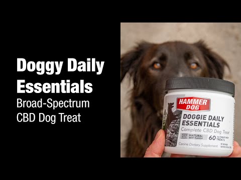 Doggie Daily Essentials