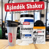 Recoverite - Hammer Nutrition CEE