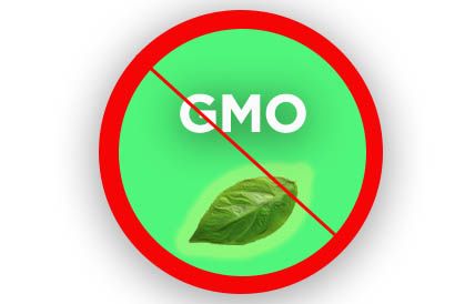 A GMO által jelentett kockázatok - A Hammer Nutrition GMO mentes táplálékkiegészítőinek háttere