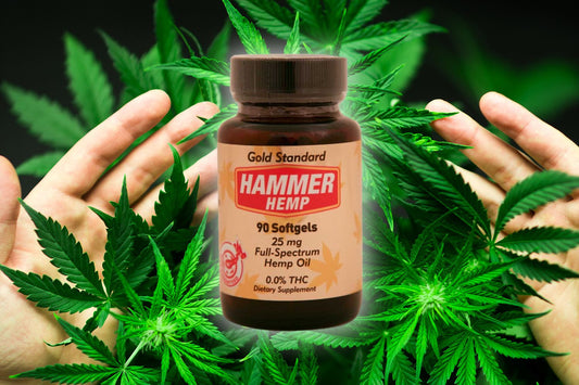 A kenderolaj aranyszabálya - Hammer Nutrition CEE