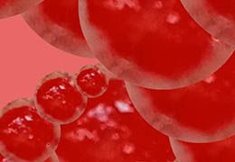 A vashiány tünetei és elkerülése - Hammer Nutrition CEE