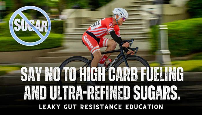 Cukor, szivárgó bél és májbetegség - Hammer Nutrition CEE