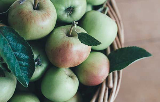 Étkezz egészségesen, spórolj többet! - Hammer Nutrition CEE