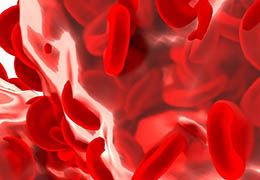 Miért fontos a vas? - Hammer Nutrition CEE