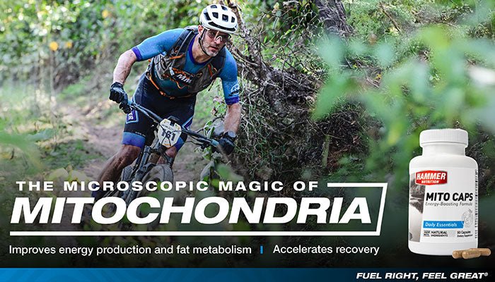MITO CAPS - Hammer Nutrition CEE