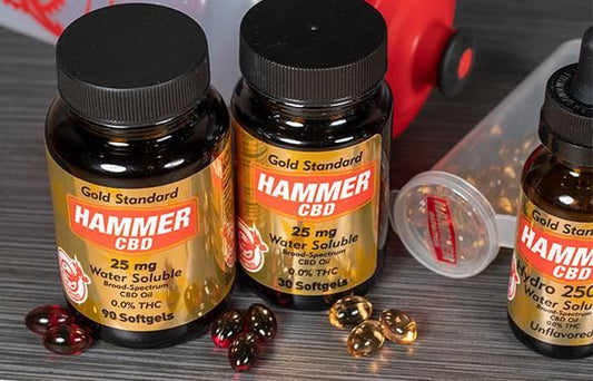 Szenzációs hír! A Hammer CBD átment az összes drogteszten! - Hammer Nutrition CEE