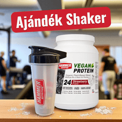 Organic Vegan Protein - Hammer Nutrition CEE