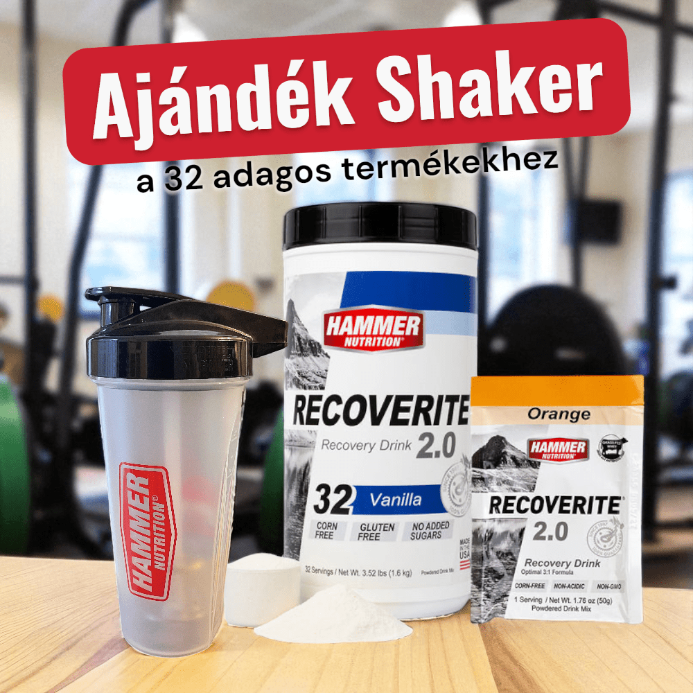 Recoverite - Hammer Nutrition CEE